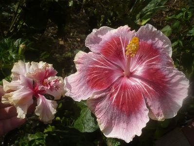 P1460925