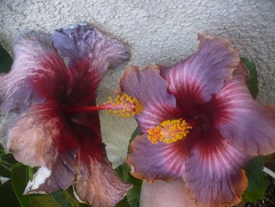 P1460995