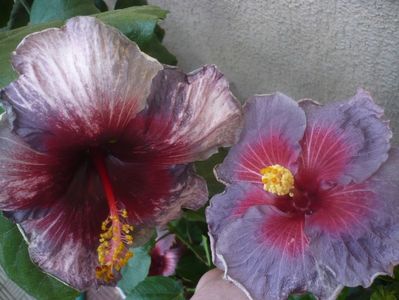 P1470025