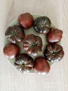 MARMANDE SWEET DARK BROWN 4