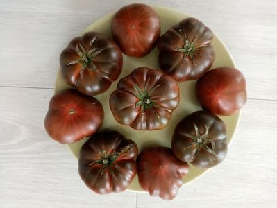 MARMANDE SWEET DARK BROWN 5