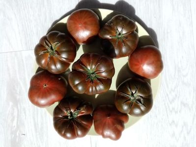 MARMANDE SWEET DARK BROWN 7