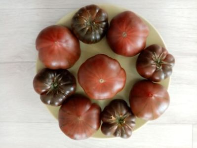 MARMANDE SWEET DARK BROWN