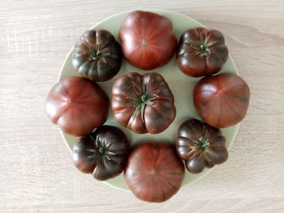 MARMANDE SWEET DARK BROWN