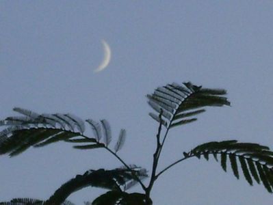 Luna noua in Sagetator; 20 oct. 2020
