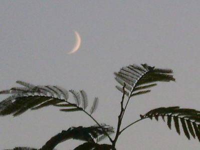 Luna noua in Sagetator; 20 oct. 2020
