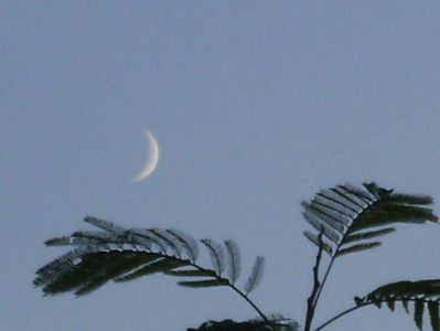Luna noua in Sagetator; 20 oct. 2020
