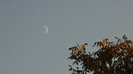 Luna in crestere in Capricorn; 22 oct. 2020
