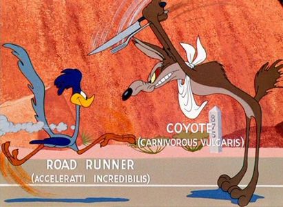 Road Runner and Wile E Coyote