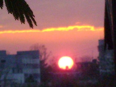 Apus de soare; 12 nov. 2020
