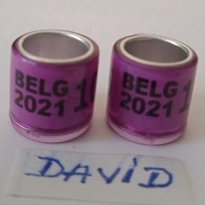 2021-BELG 8mm. fara talon...
