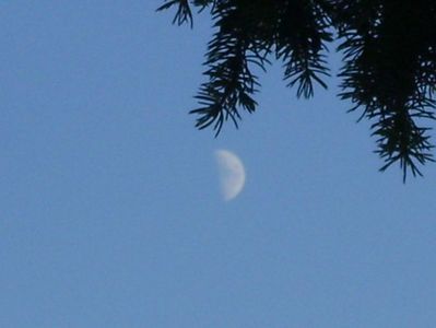 Luna in crestere in Pesti; 22 nov. 2020
