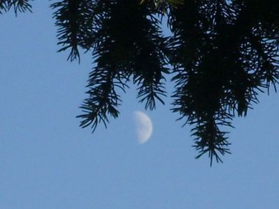 Luna in crestere in Pesti; 22 nov. 2020

