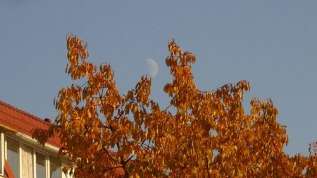 Luna in crestere in Pesti; 22 nov. 2020
