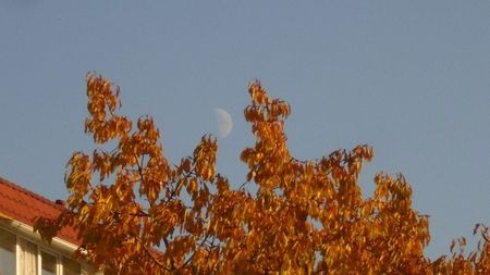 Luna in crestere in Pesti; 22 nov. 2020
