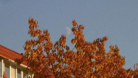 Luna in crestere in Pesti; 22 nov. 2020
