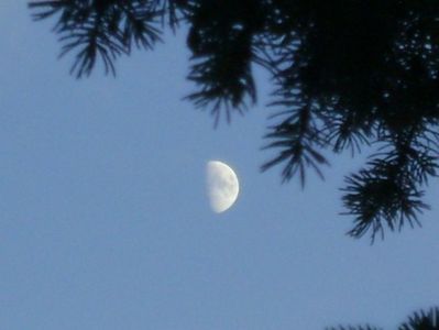 Primul patrar al Lunii in Pesti; 23 nov. 2020
