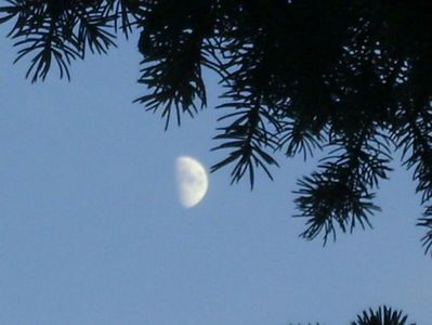 Primul patrar al Lunii in Pesti; 23 nov. 2020
