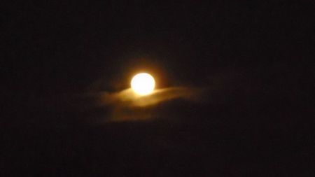 Ultima luna plina din 2020 - in Rac; 30 dec. 2020
Full Cold moon
