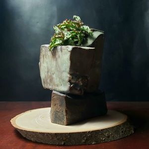 Arpino Ceramics - Aloe castilloniae