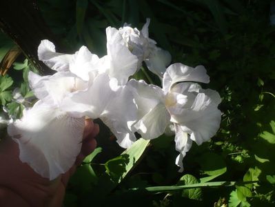 P1480271