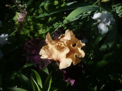 P1480272