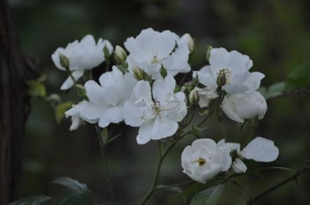 _DSC0551