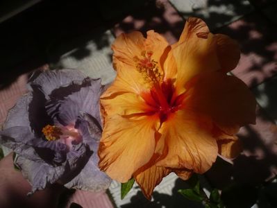 P1490122