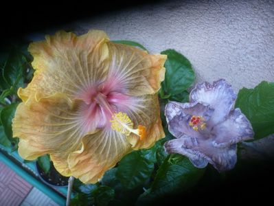 P1490468