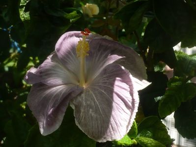P1490550