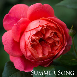 Summer Song (Tufa)