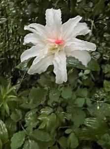 948D3630-13F0-41CB-9EDD-773FB158A900