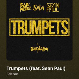 • Tintype got “Trumpets” by Sak Noel & Salvi ft. Sean Paul. +; LINK: https://youtu.be/6n7cL1jokAE?si=8tybygmq4P_fHxIf
