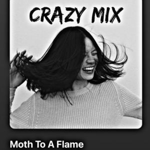 • crawlingback2me got “Moth To A Flame”.