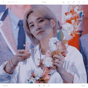 17.09 ⸒⸒ ⠀⠀ʚ⋅ɞ enchant—ing. ✷ tokki.