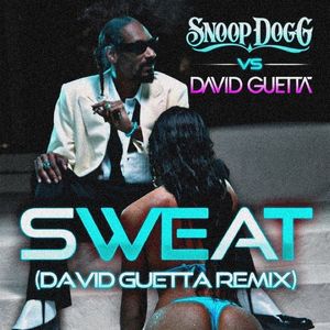 • Vellichoria got “Sweat” by Snoop Dogg ft. David Guetta RMX.; https://youtu.be/KnEXrbAQyIo
